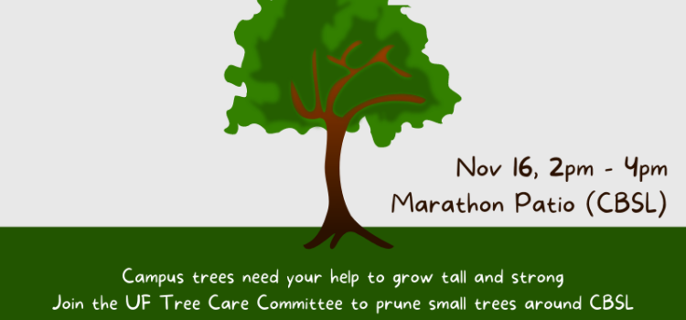 Arbor Day in Autumn: tree pruning service project Arbor Day in Autumn: tree pruning service project