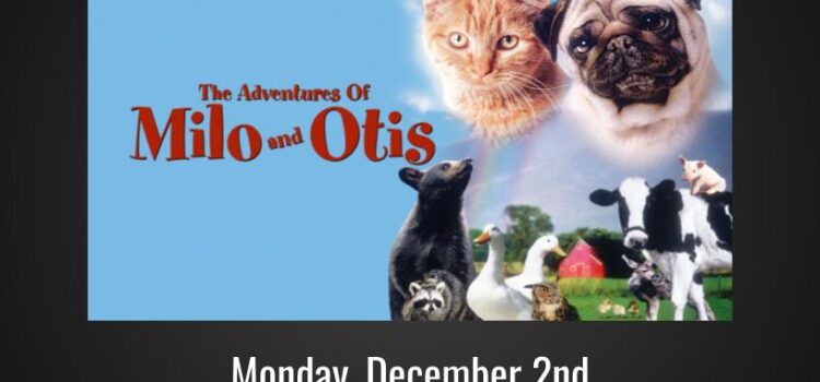 DTA Presents Flicks on the Farm