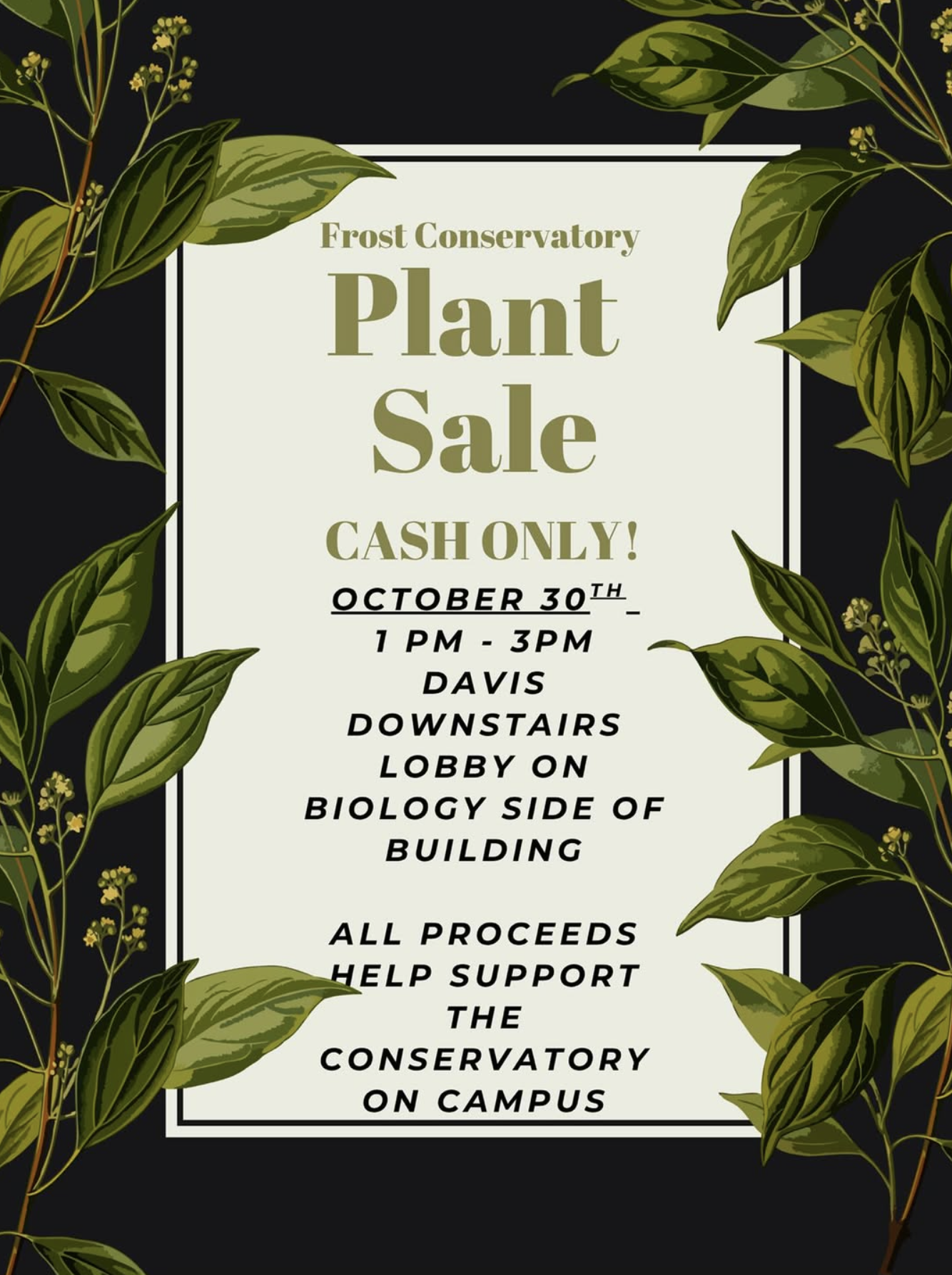 Plant Sale (Cash Only)